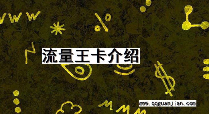 流量王卡介绍 流量王卡, 介绍