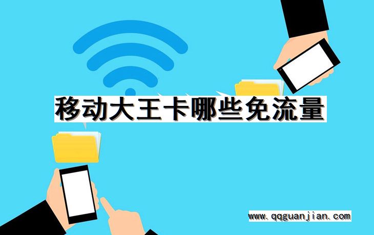 移动大王卡, 免流量