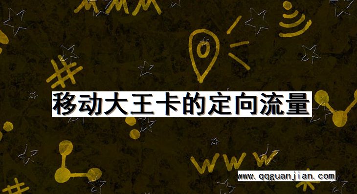 移动大王卡, 定向流量