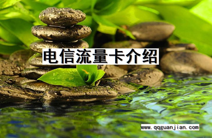 电信流量卡介绍 电信, 流量卡, 介绍