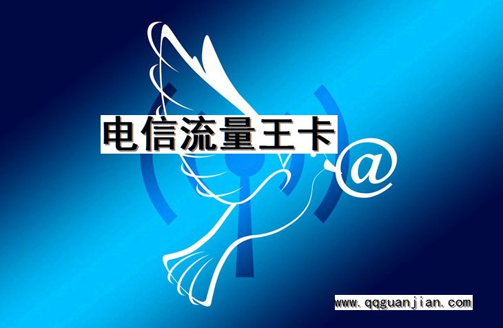 电信流量王卡 电信, 流量王卡