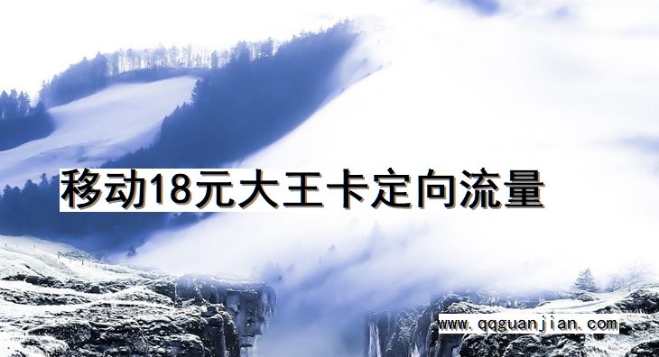 移动18元大王卡定向流量 移动,18元,大王卡,定向流量