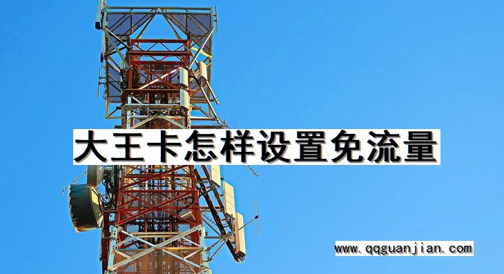 大王卡怎样设置免流量 大王卡, 设置, 免流量