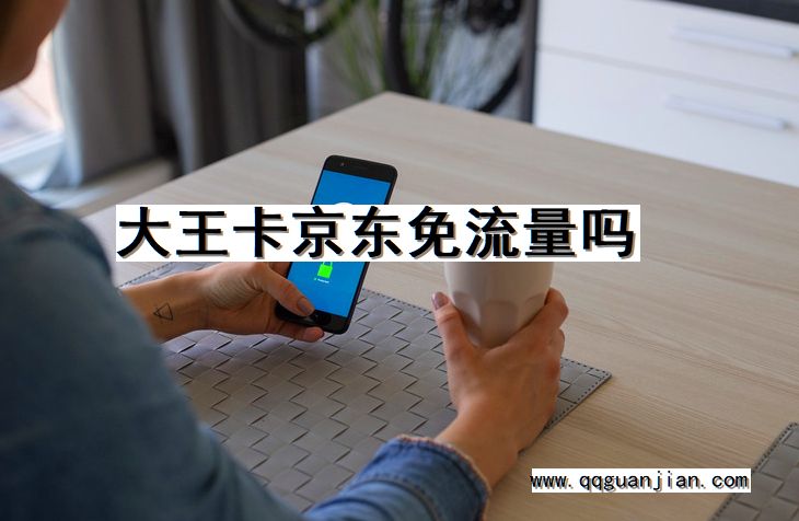 大王卡京东免流量吗 大王卡, 京东, 免流量