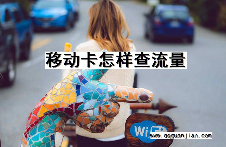移动卡怎样查流量 移动卡, 查, 流量