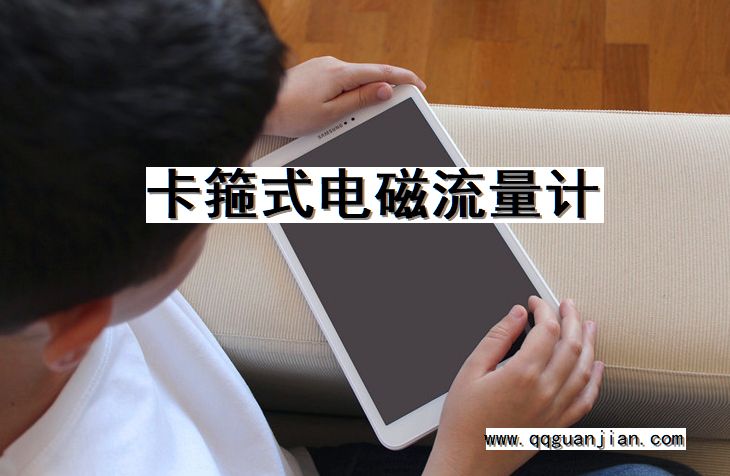 卡箍式, 电磁流量计