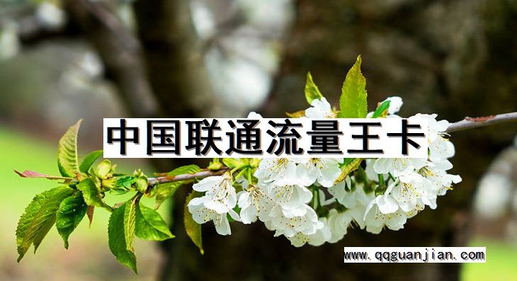 中国联通, 流量王卡