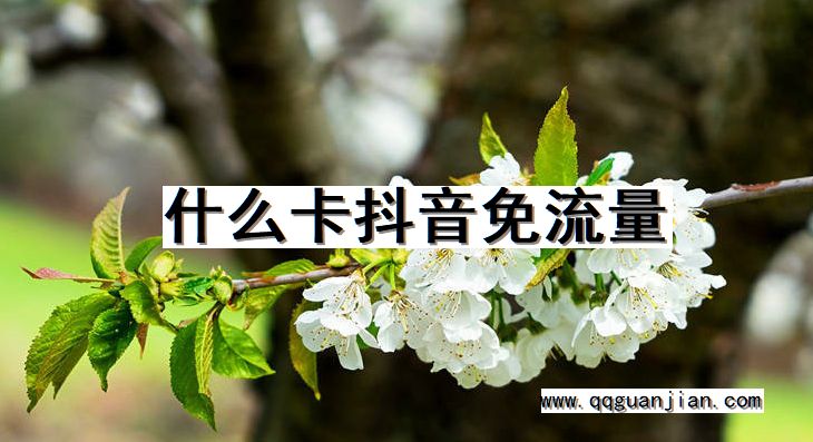 抖音, 免流量, 卡
