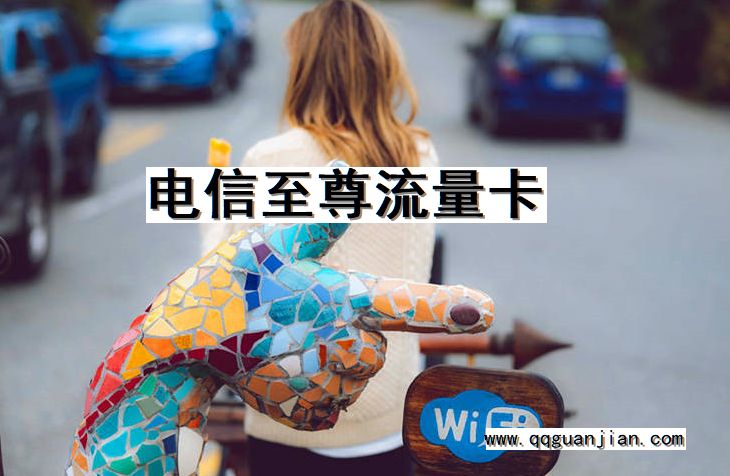 电信至尊流量卡 电信, 至尊, 流量, 卡