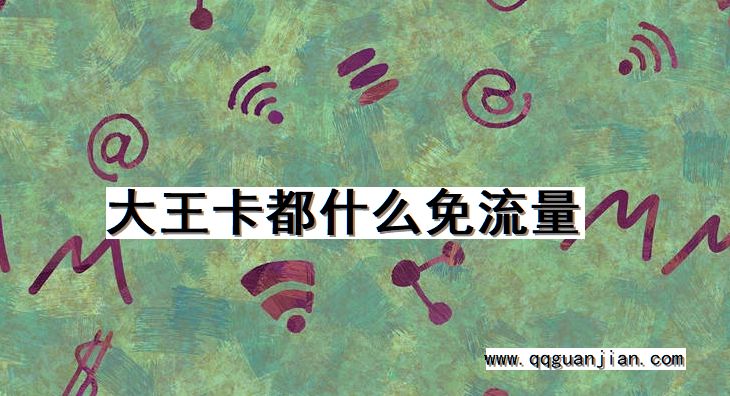 大王卡, 免流量