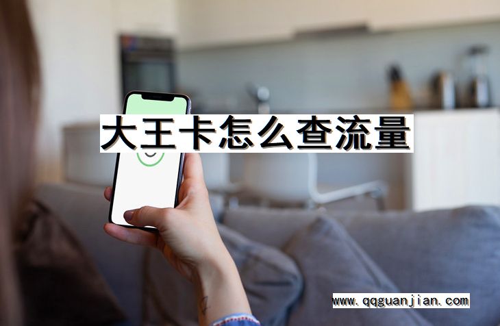 大王卡怎么查流量 大王卡, 查