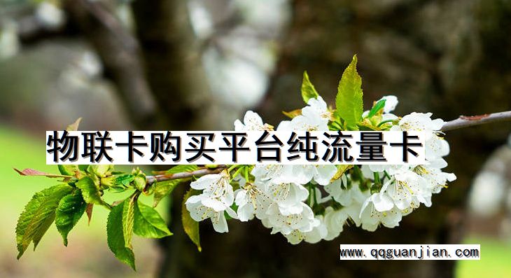 物联卡购买平台纯流量卡 物联卡, 购买平台, 纯流量卡